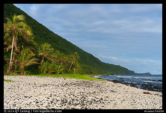 Coral rubble beach fringed by palm trees, Tau Island. American Samoa (color)