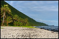 Coral rubble beach fringed by palm trees, Tau Island. American Samoa ( color)