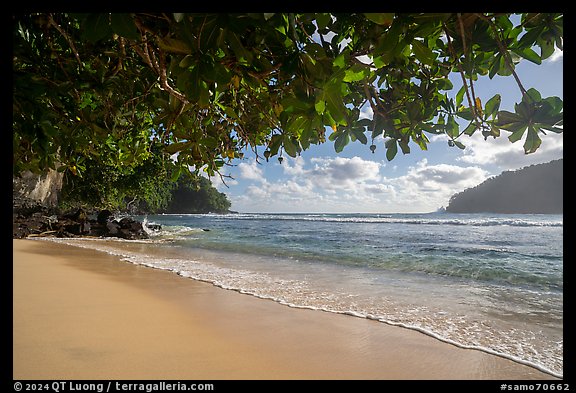 Beach, Fagatele Bay, National Marine Sanctuary of American Samoa. Tutuila, American Samoa (color)