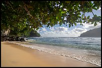 Beach, Fagatele Bay, National Marine Sanctuary of American Samoa. Tutuila, American Samoa ( color)