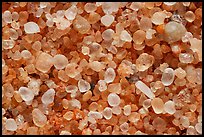 Pictures of NP Sand Grains