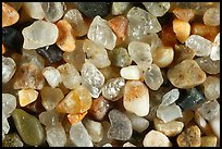 Pictures of California Sand Grains