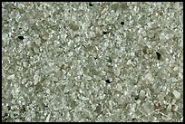 Pictures of Florida Sand Grains