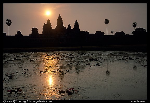 Angkor Wat reflected in pond at sunrise. Angkor, Cambodia