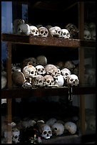 Skulls of executed prisoners, Choeng Ek Killing Fields memorial. Phnom Penh, Cambodia (color)