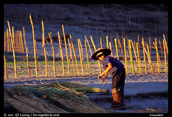 Villager and fence. Mekong river, Laos