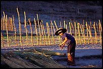Villager and fence. Mekong river, Laos (color)