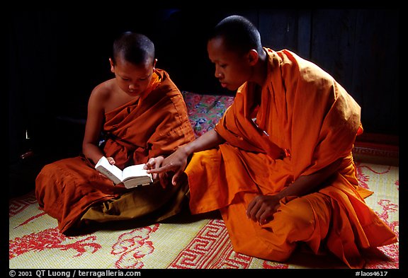 Buddhist novice monks reading. Luang Prabang, Laos (color)