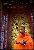 Buddhist novice monk at Wat Xieng Thong. Luang Prabang, Laos (color)