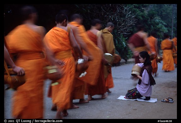 Buddhist monks walking past alm-giving woman. Luang Prabang, Laos