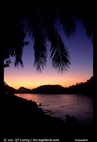 Sunset on the Mekong river framed by coconut trees, Luang Prabang. Mekong river, Laos