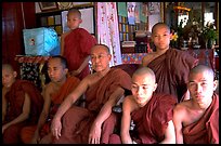 Monks,  Shwedagon Paya. Yangon, Myanmar ( color)
