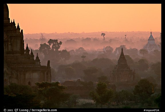 Receeding lines through the dawn mist. Bagan, Myanmar (color)
