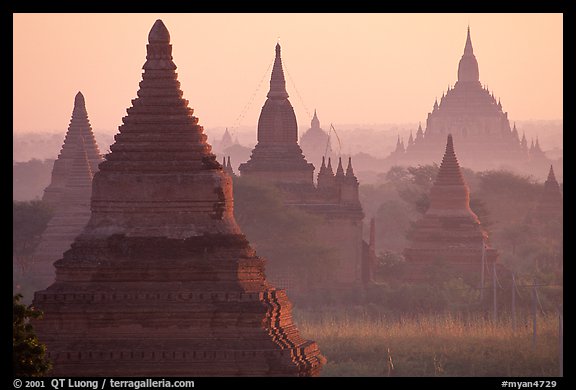 View over temples from Mingalazedi. Bagan, Myanmar (color)