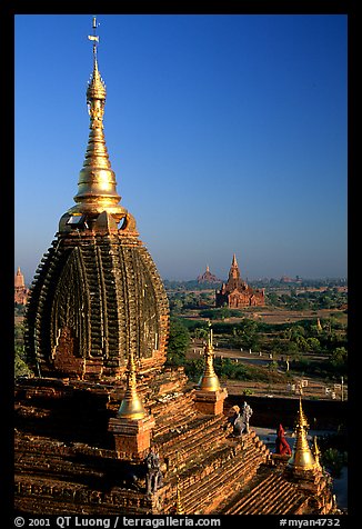Gilded temples seen from Dhammayazika. Bagan, Myanmar (color)