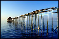 Stilts huts. Inle Lake, Myanmar (color)