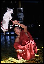 Jumping cat and monk. Inle Lake, Myanmar (color)