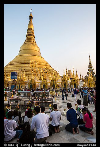 Praying from the Victory Ground, Shwedagon Pagoda, late afternoon. Yangon, Myanmar (color)