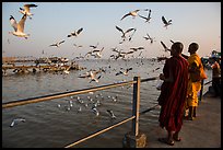 Seagulls flying as monks feed them from Botataung pier. Yangon, Myanmar ( color)
