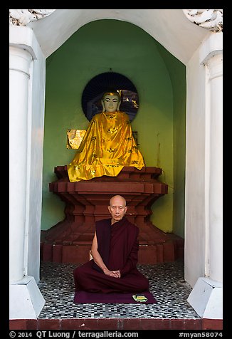 Monk meditating in alcove with Buddha statue, Shwedagon Pagoda. Yangon, Myanmar (color)