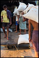 Workers load bags of rice into truck, Sinodan pier. Yangon, Myanmar ( color)