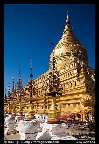 Umbrellas and main stupa, Shwezigon Pagoda. Bagan, Myanmar (color)