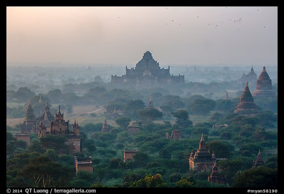 Aerial view of ancient temples in sunrise mist. Bagan, Myanmar