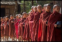 Novices lining up with alms bowls, Nyaung U. Bagan, Myanmar ( color)