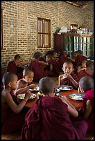 Young Buddhist monks in dining room. Bagan, Myanmar ( color)