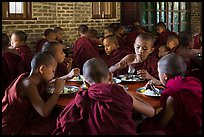 Novices eat lunch, last meal of the day. Bagan, Myanmar ( color)