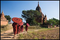 Young Buddhist monks holding red sun umbrellas walk towards temple. Bagan, Myanmar ( color)