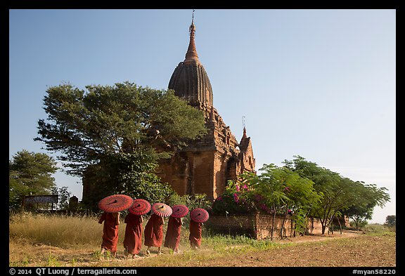 Five novices with red umbrellas walking below temple. Bagan, Myanmar
