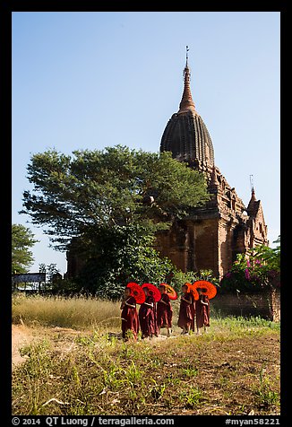 Novices holding red sun umbrellas walk from temple. Bagan, Myanmar