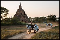Ox carts and Tayok Pye temple. Bagan, Myanmar ( color)