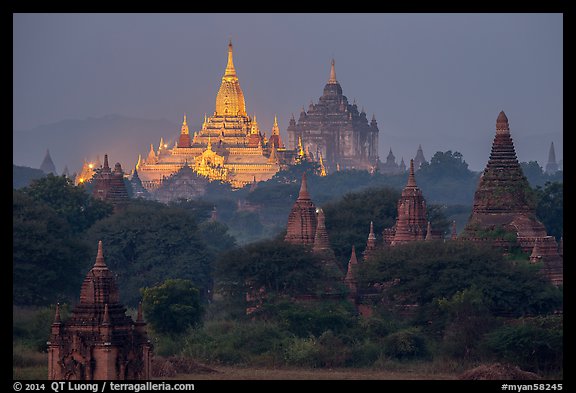 Temples at dawn, including Ananda and Thatbyinnyu. Bagan, Myanmar (color)