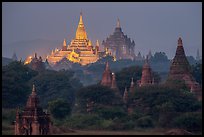 Temples at dawn, including Ananda and Thatbyinnyu. Bagan, Myanmar ( color)