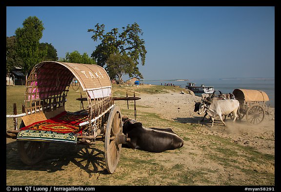 Ox carts on shore of Irrawaddy River, Mingun. Myanmar (color)