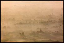 Pagodas and tree ridges in mist as seen from Mandalay Hill. Mandalay, Myanmar ( color)