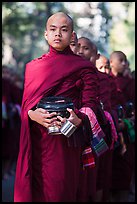 Monks stand in line before lunch, Mahagandayon Monastery. Amarapura, Myanmar ( color)