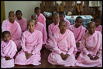 Women scholars, Zayar Theingi Nunnery, Sagaing. Myanmar ( color)