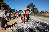 Women doing road construction work. Shan state, Myanmar ( color)