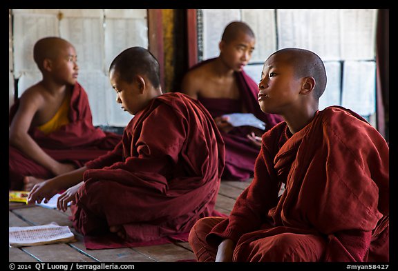 Buddhist monks studying, Shweyanpyay Monastery, Nyaung Shwe. Inle Lake, Myanmar