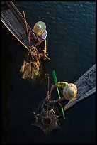 Intha fishermen use spear to stir weed and expose fish. Inle Lake, Myanmar ( color)