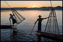 Intha fishermen lifting traditional conical net at sunset. Inle Lake, Myanmar ( color)