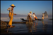 Intha fishermen standing on stern of their boats to fish. Inle Lake, Myanmar ( color)