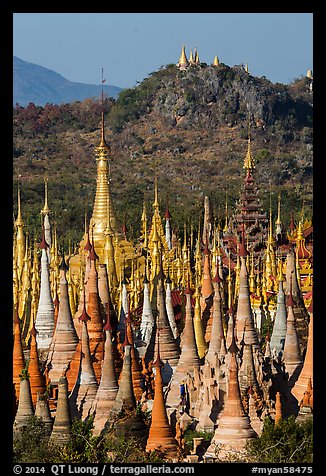 Jungle of stupas in various srages of disrepair, Indein. Inle Lake, Myanmar (color)