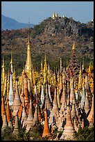Jungle of stupas in various srages of disrepair, Indein. Inle Lake, Myanmar ( color)