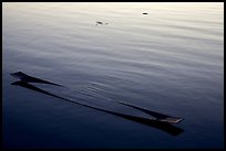 Sunken canoe and rippled water. Inle Lake, Myanmar ( color)