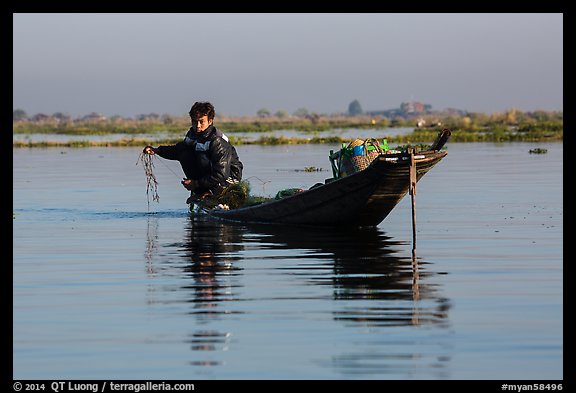Fisherman retrieves net. Inle Lake, Myanmar