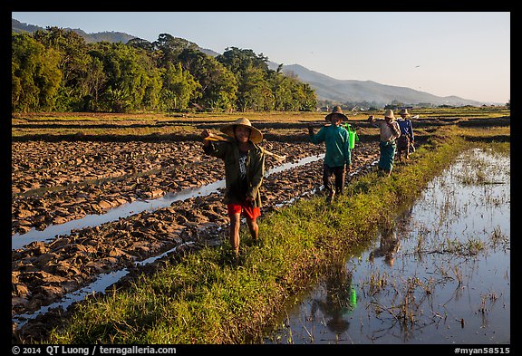 Villagers returning from a day of work in the fields, Maing Thauk Village. Inle Lake, Myanmar (color)